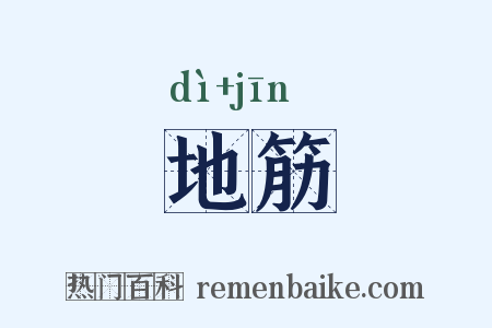 地筋是什么意思的图片